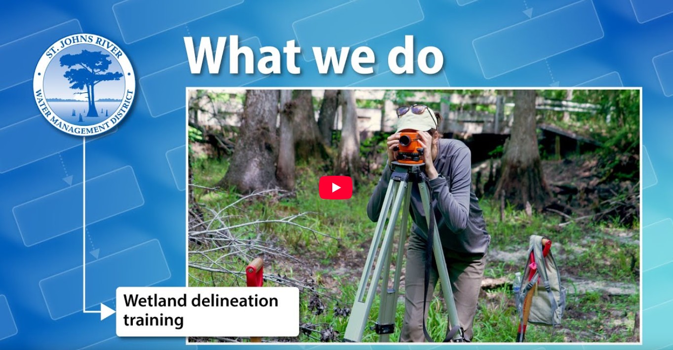 Screenshot of YouTube video for Wetland Delineation Training