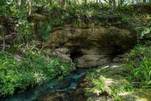 Photograph of a pring flowing out of a small cliff side