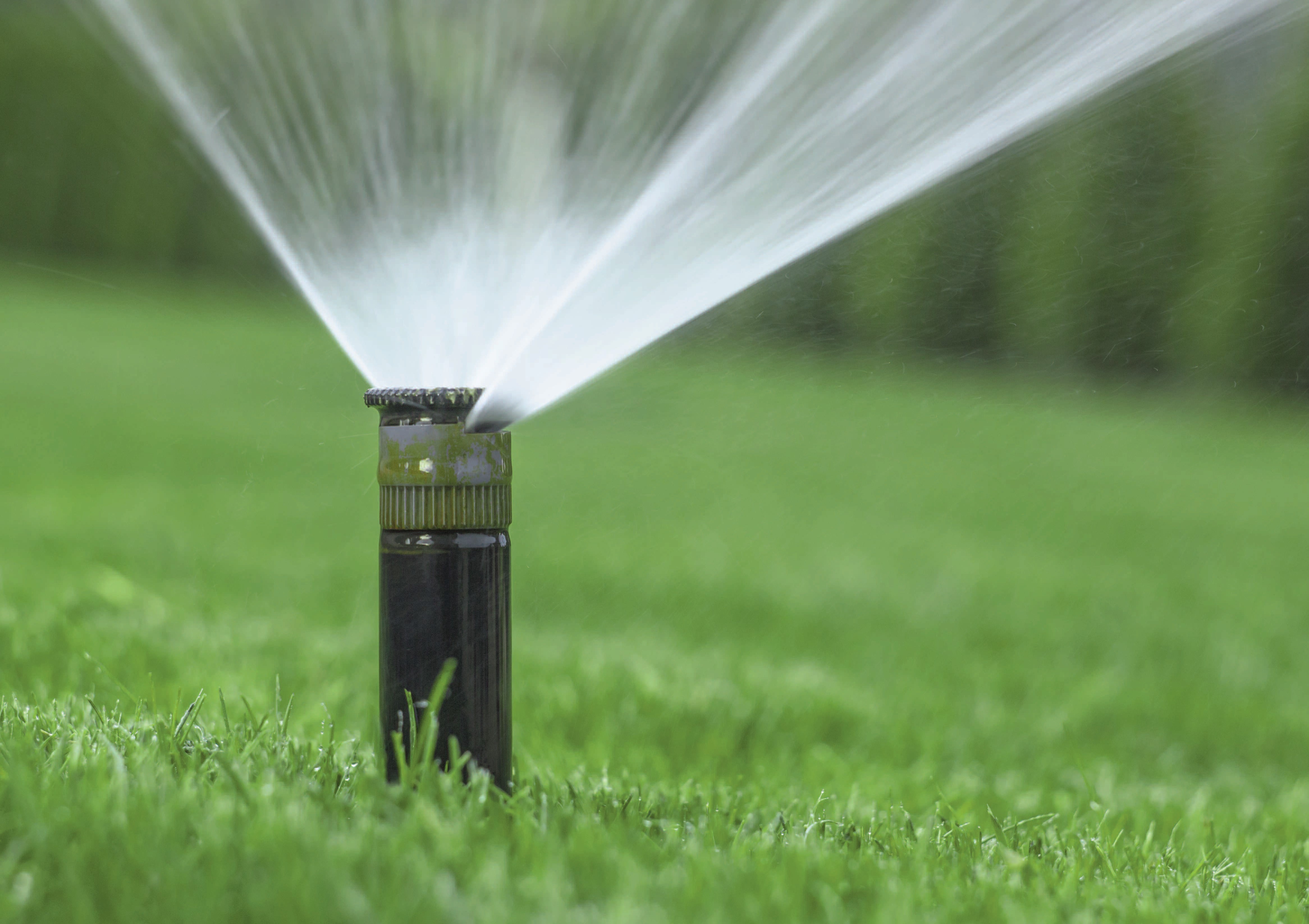 Irrigation spray head